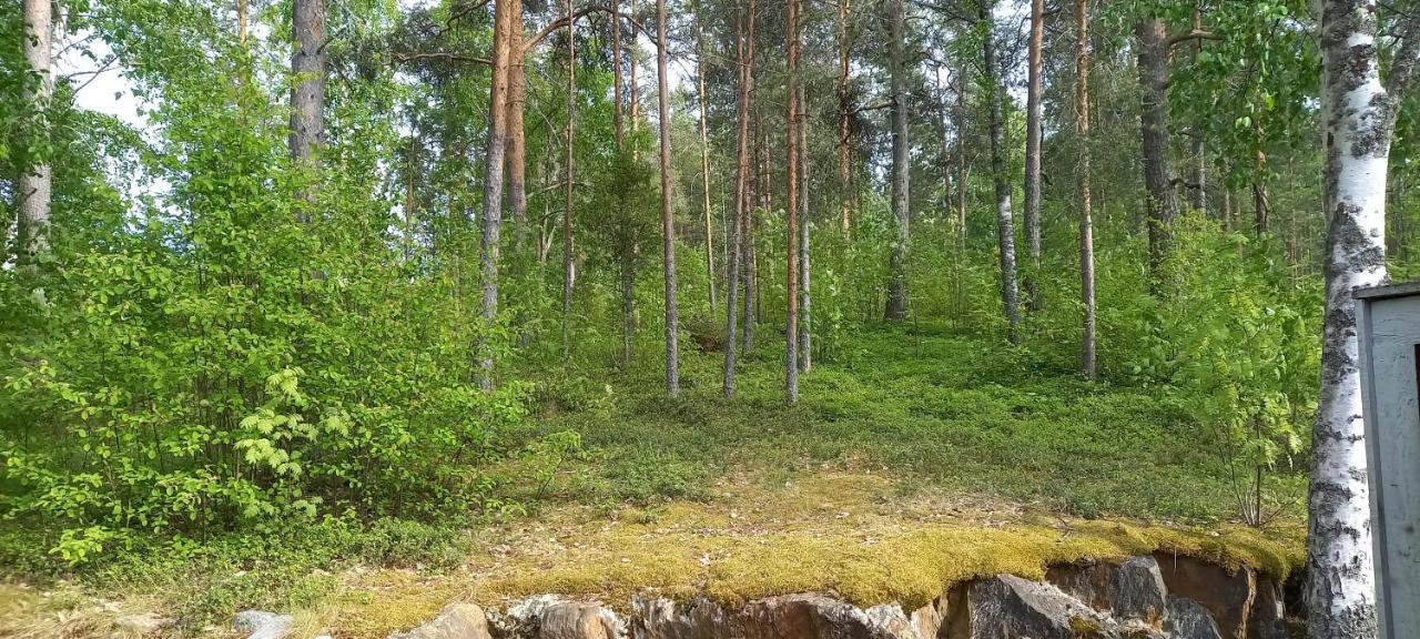 Apartamento Saimaan Kodikas Savonlinna Exterior foto